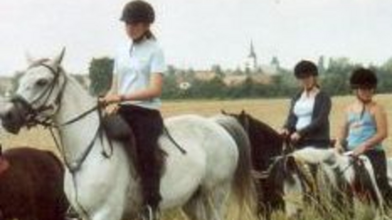 Pferd mit Reiter; Bild: rlp-Archiv