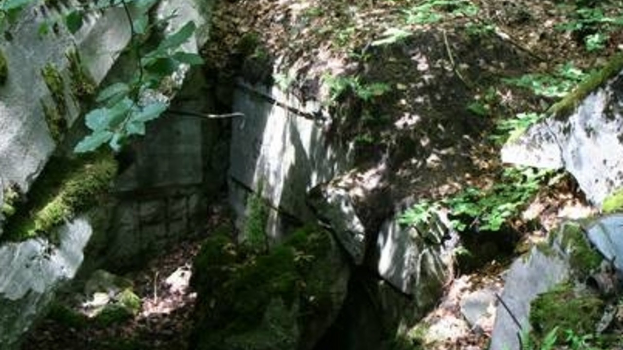 Bunkerruine des Westwalls; Bild: BUND