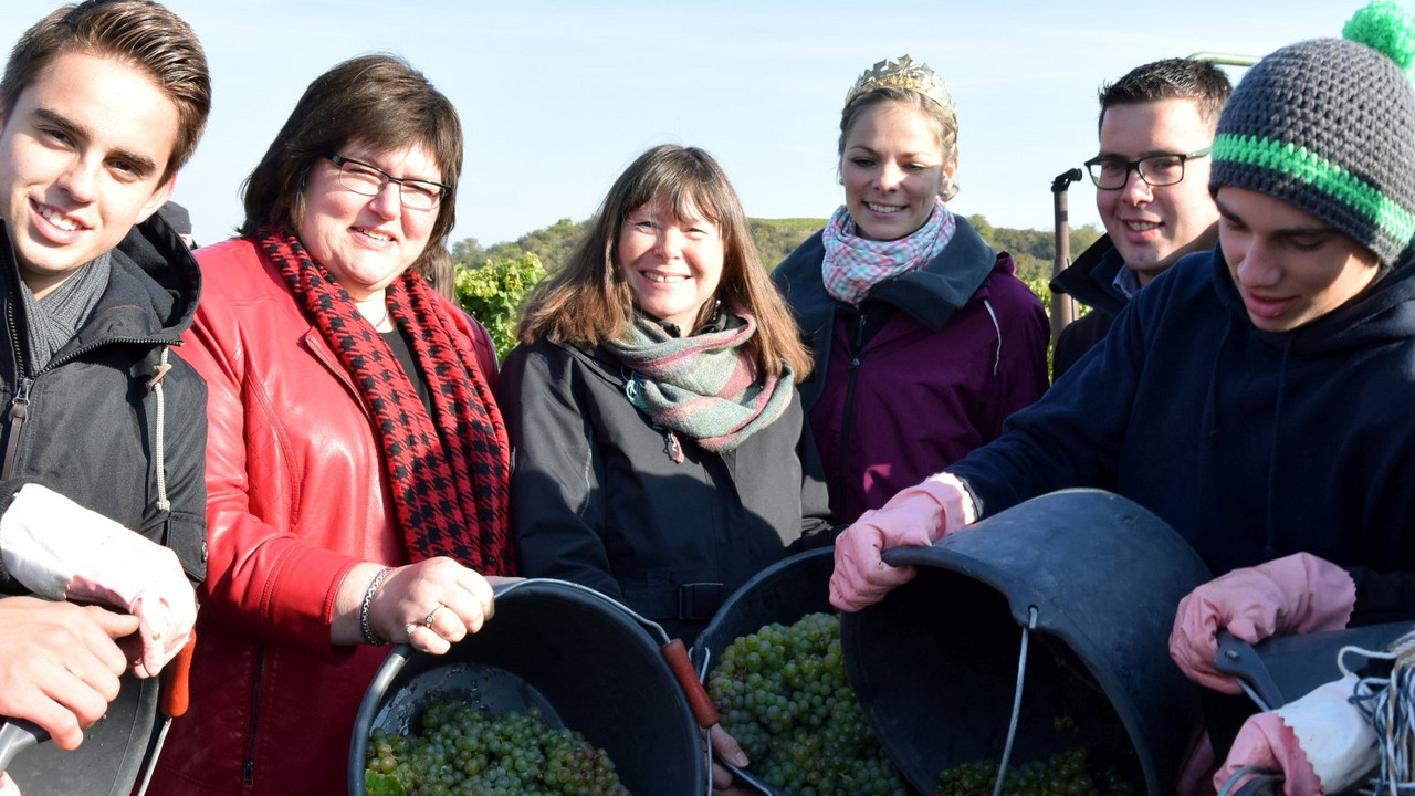 Umweltministerin Ulrike Höfken mit Schülern bei der Weinlese in Dexheim