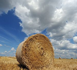 Strohballen; Bild: dpa
