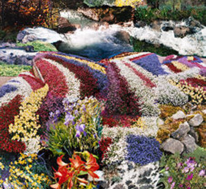 Peter Hutchinson, Prognosis Earth - Landscape Series, 2005