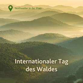 Internationaler Tag des Waldes