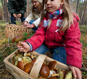 Mädchen beim Pilzsammeln;Foto:dpa-bildfunk