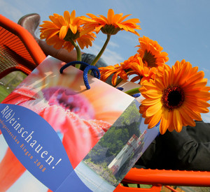 Landesgartenschau Bingen