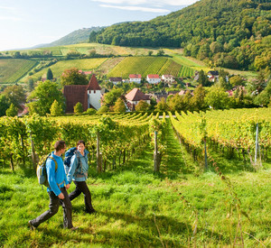 Wanderer auf dem Pfälzer Weinsteig; Bild: rlp-Tourismus GmbH