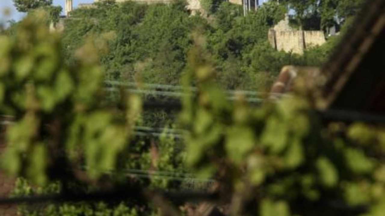 Hambacher Schloss; Bild: dpa