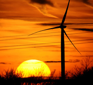 Windrad; Bild: dpa