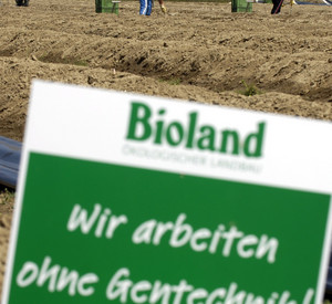 Bioland-Spargelfeld; Bild: Bioland