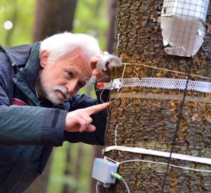 Hans-Werner Schröck, wissenschaftlicher Mitarbeiter der Forschungsanstalt für Waldökologie und Forstwirtschaft in Trippstadt; Bild: dpa