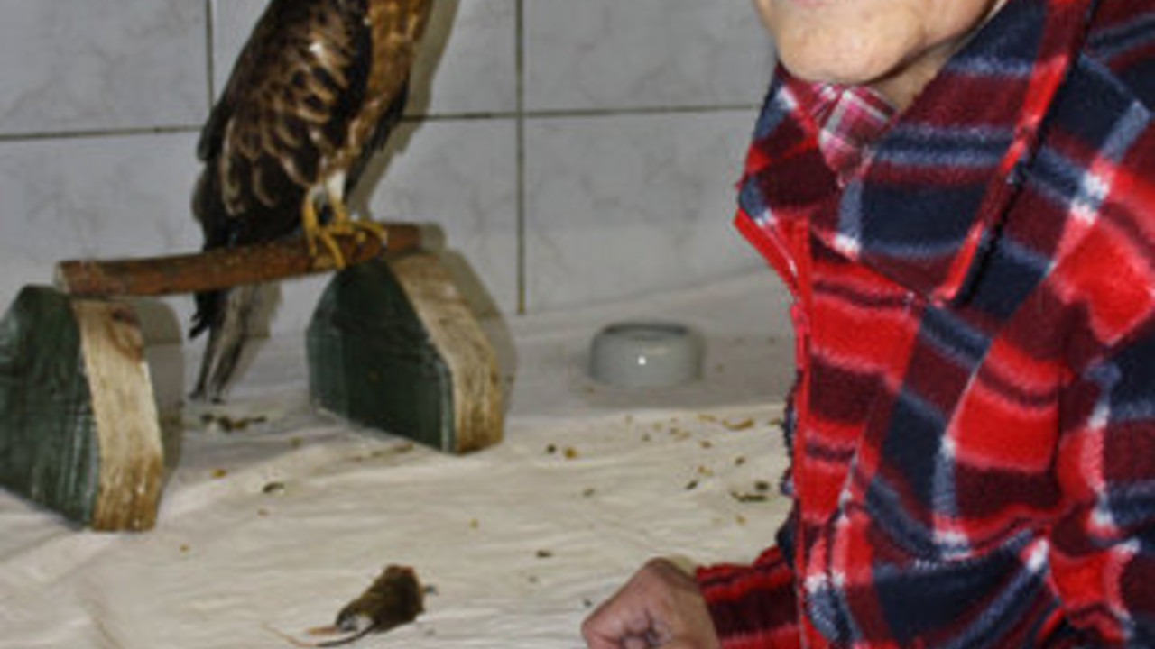 Helge Steffens in der Wildvogel-Pflegestation; Bild: dpa
