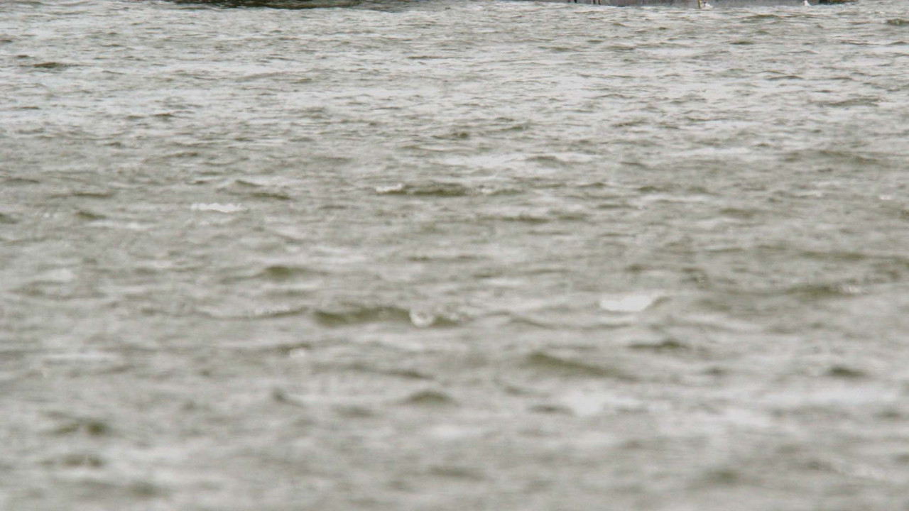 Binnenschiff auf dem Rhein; Bild: dpa
