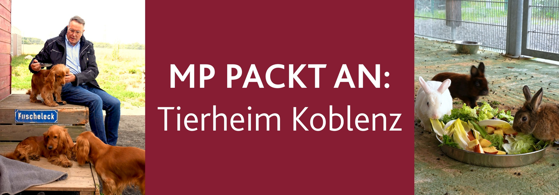 MP packt an im Tierheim Koblenz