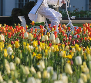 Bundesgartenschau 2011; Bild: rlp-Archiv / Piel