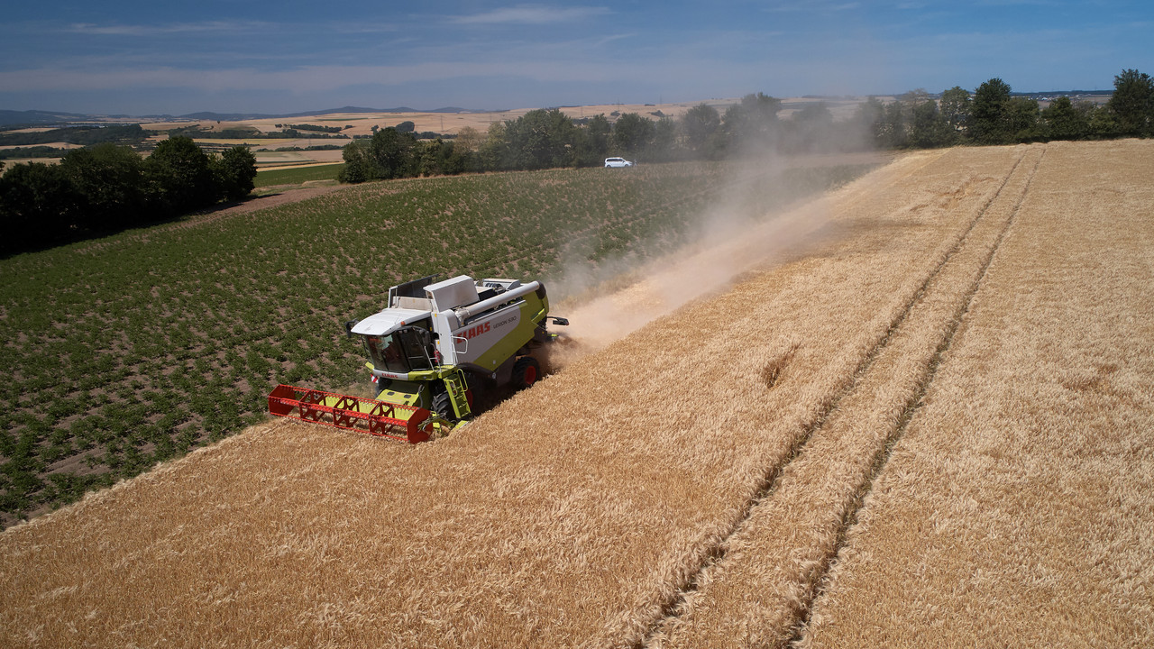 Landwirtschaft in Rheinland-Pfalz