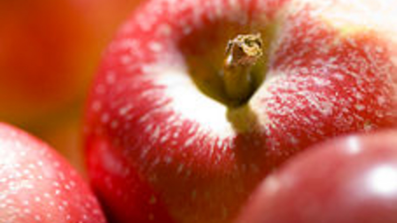 Äpfel; Bild: rlp-Archiv