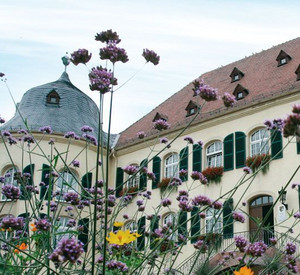 Rathaus Bad Bergzabern