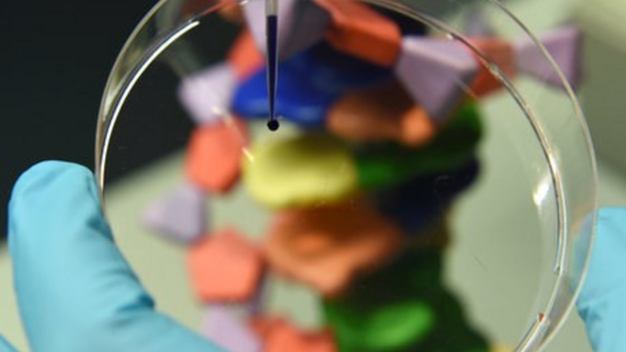 Aufwärtstrend bei Biotechnologie; Foto: dpa