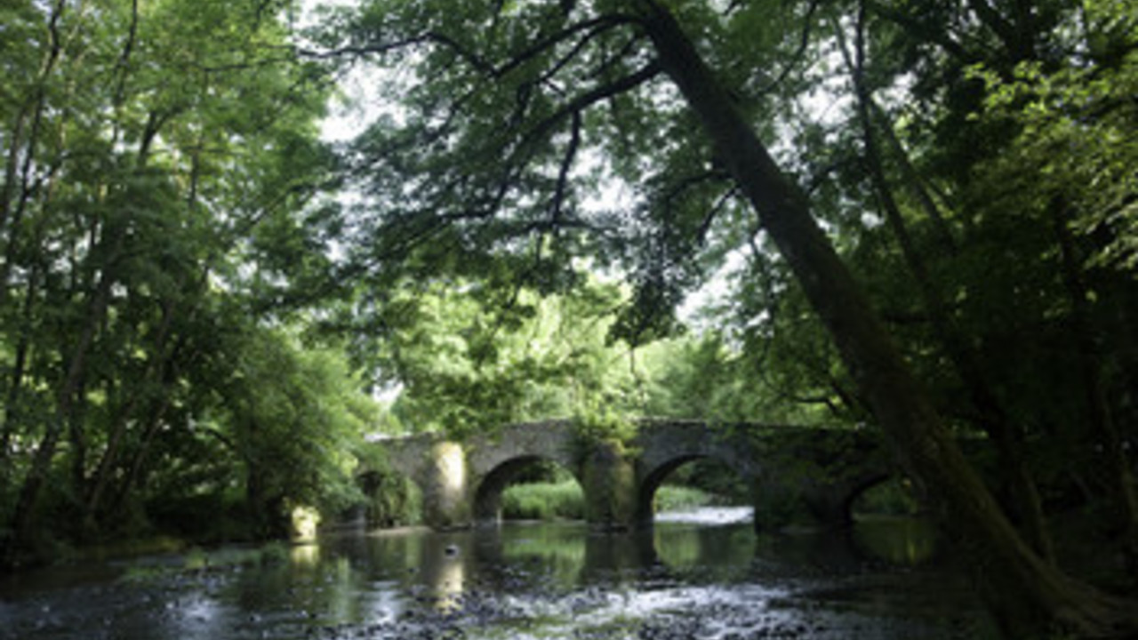 Brücke im Nistertal; Bild: Bilddatenbank RLP