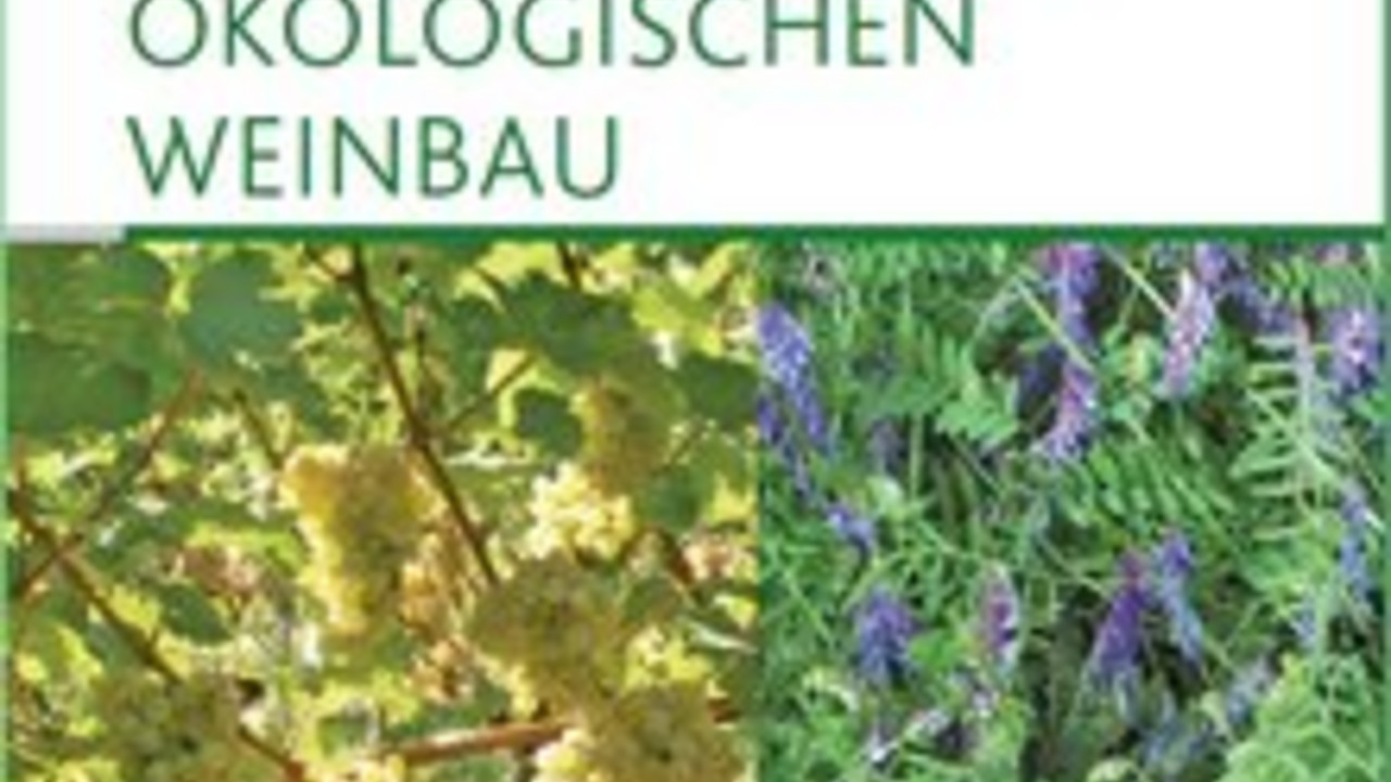 Titelblatt Broschüre