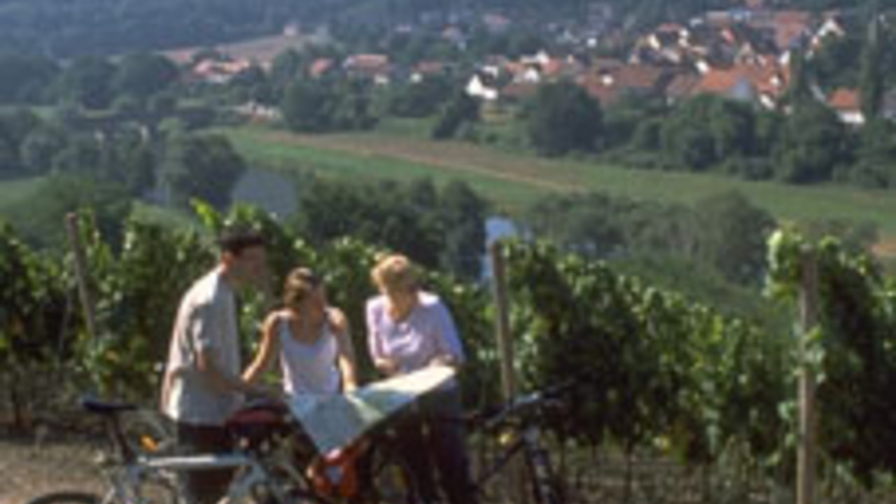 Radfahrer im Nahetal; Bild: Rheinland-Pfalz Tourismus GmbH