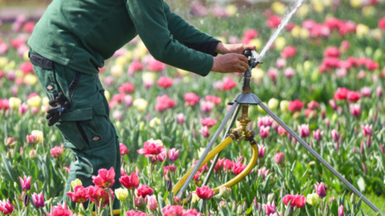 Gärtner im Blumenbeet auf der Landesgartenschau; Bild: dpa