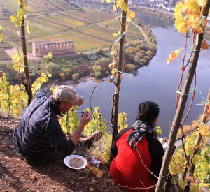 Weinlese, Erntehelfer am Calmont an der Mosel