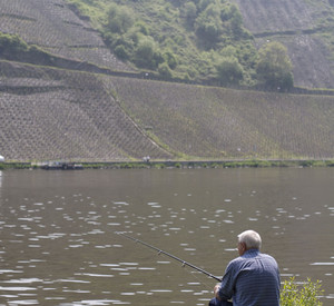 Ein Angler an der Mosel bei Beilstein; Bild: rlp Tourismus GmbH