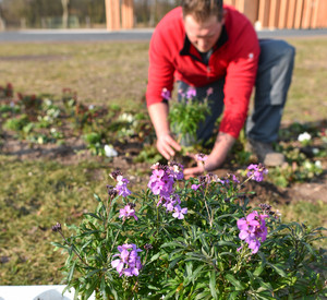 Die Vielfalt der Landesgartenschau zeigt sich nicht nur im Blumenbeet; Bild: dpa