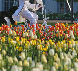 Blütenpracht in Koblenz; Foto: BUGA Koblenz 2011 GmbH
