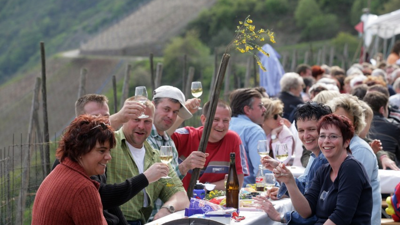 Weinfrühling in der Weinlage Bopparder Hamm