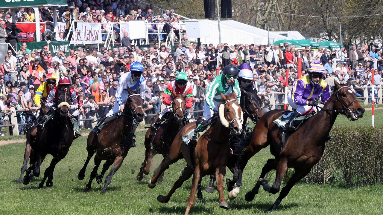 Pferderennen Zweibrücken; Bild: Stk Archiv