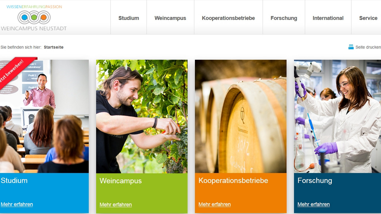 Screenshot Weincampus Neustadt