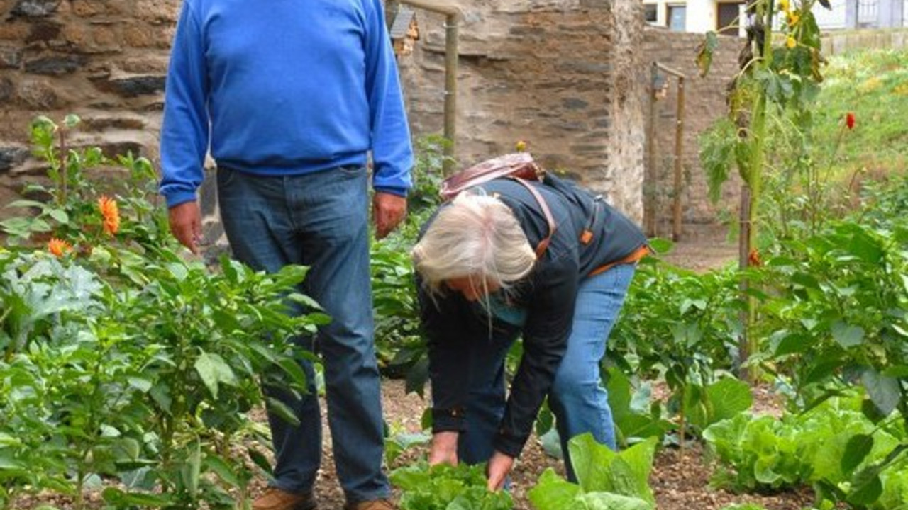 Gartenarbeit in Andernach; Bild: Christoph Maurer