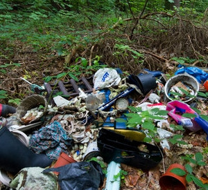 Illegale Müllentsorgung im Wald; Bild: dpa