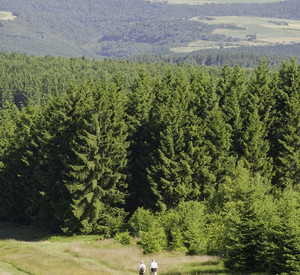Blick vom Eberskopf auf das potentielle Nationalparkgebiet; Bild: rlp tourismus,Ketz