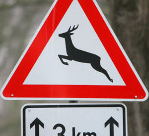 Verkehrszeichen Wildwechsel; Bild: dpa