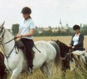 Pferd mit Reiter; Bild: rlp-Archiv