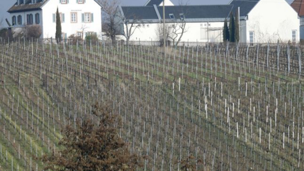 Künstlerhaus in Edenkoben; Bild: dpa