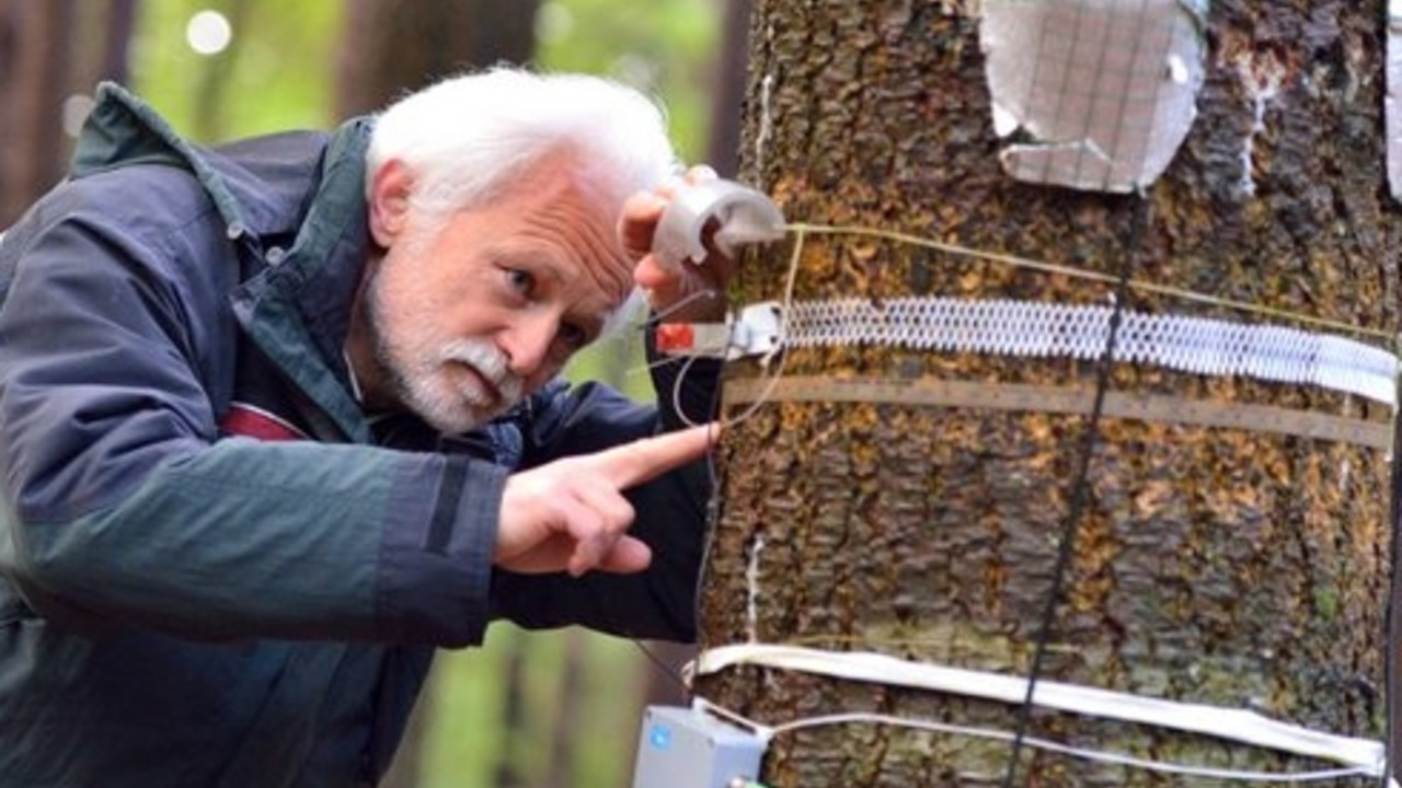 Hans-Werner Schröck, wissenschaftlicher Mitarbeiter der Forschungsanstalt für Waldökologie und Forstwirtschaft in Trippstadt; Bild: dpa