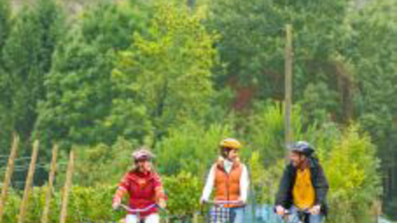 Touristen auf dem Ahrradweg bei Walporzheim; Bild: rlp-Archiv