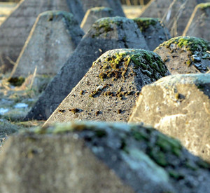 Westwall; Foto: dpa