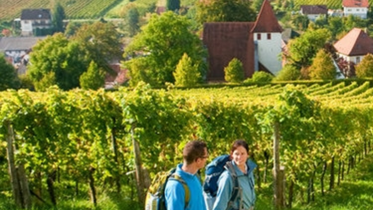 Wanderer auf dem Pfälzer Weinsteig bei Leinsweiler. Bild: rlp-Tourismus