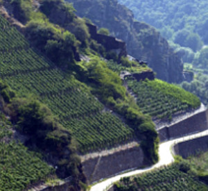 Weinberge an der Ahr; Bild: Deutsches Weininstitut