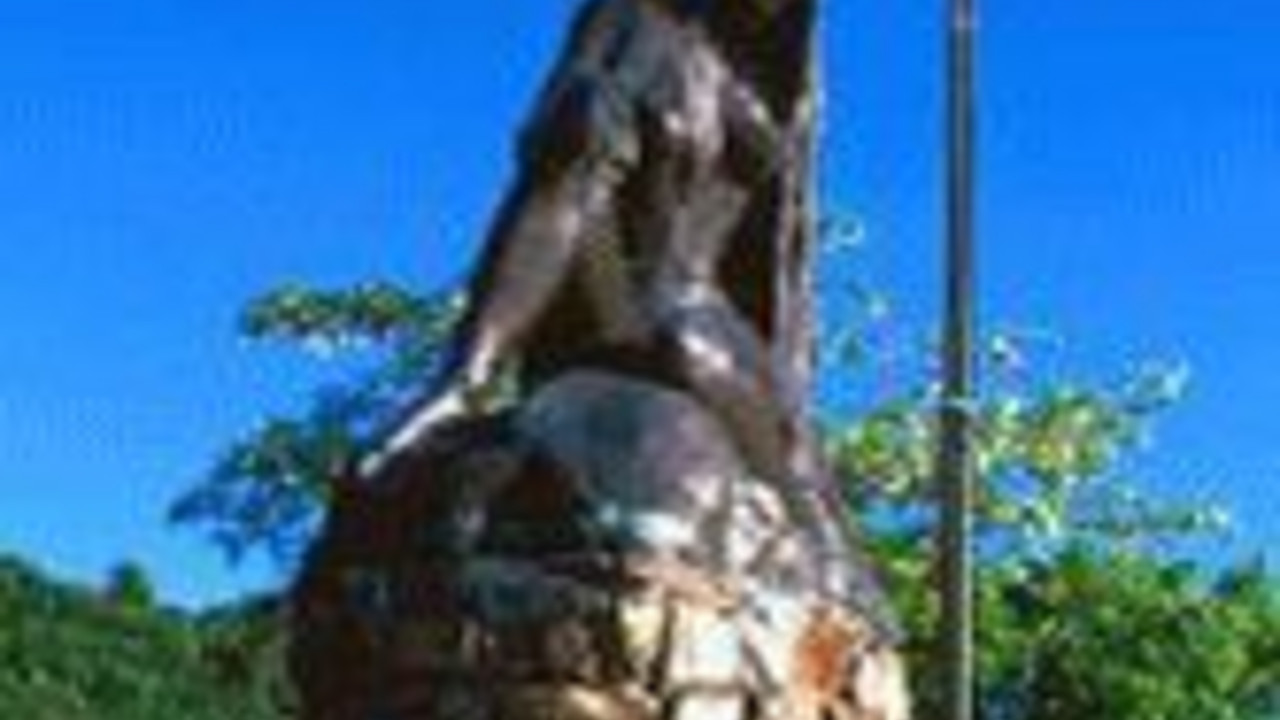 Loreley; Bild: dpa