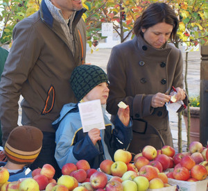 Besucher beim Apfelmarkt in Traunstein; Bild: tag-der-regionen.de