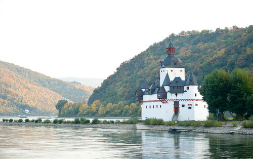 Die Burg Pfalzgrafenstein am Rhein.