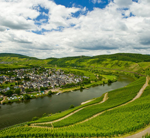 Moseltal mit Blick auf Pünderich; Bild: rlp Tourismus