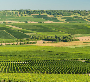Ökologischer Landbau