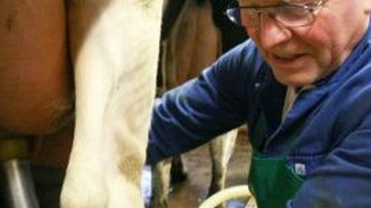 Milchbauer bei der Arbeit; Bild: dpa
