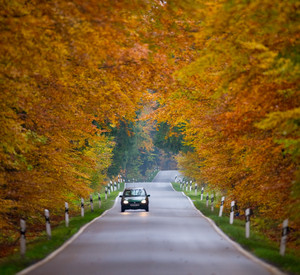 Straße im Herbst; Bild: dpa